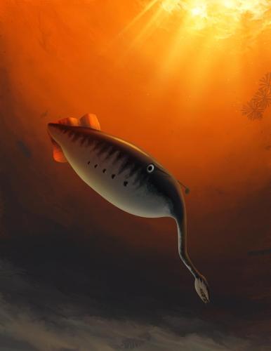The Tully Monster