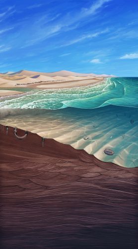 Limper Museum - Cambrian