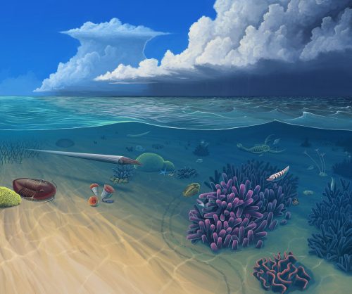 Limper Museum - Ordovician