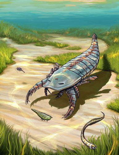 The Winneshiek biota